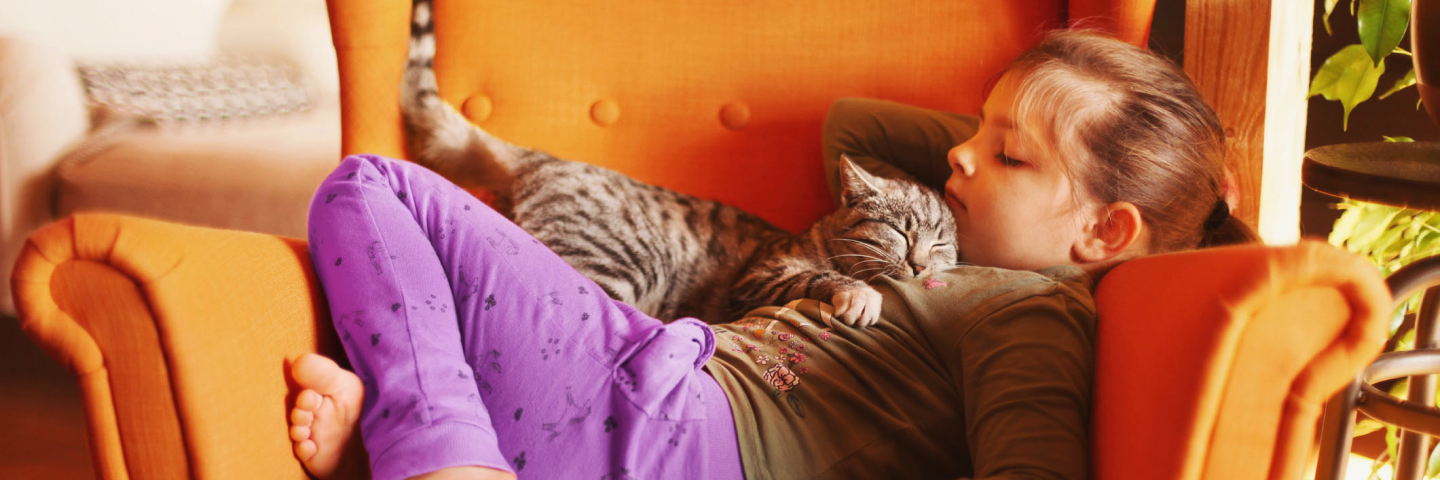 Little girl sleeping with a tabby cat on an orange armchair, suggesting cat fur as an allergy trigger
